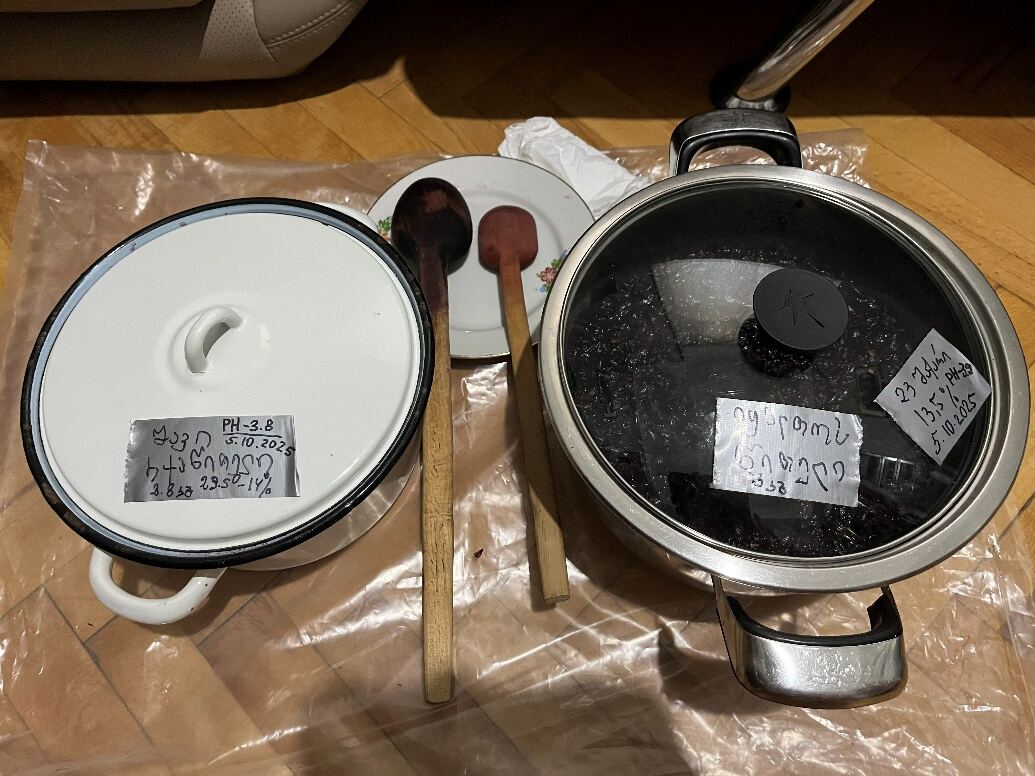 Both varieties fermenting in clean pots at home